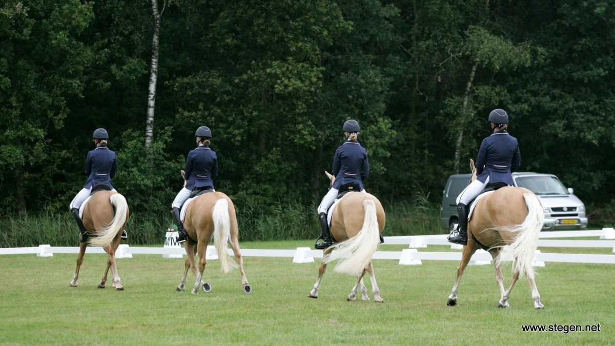 Het Friese viertal Goud4Goud werd KNHS-kampioen op de Hippiade voor pony's.