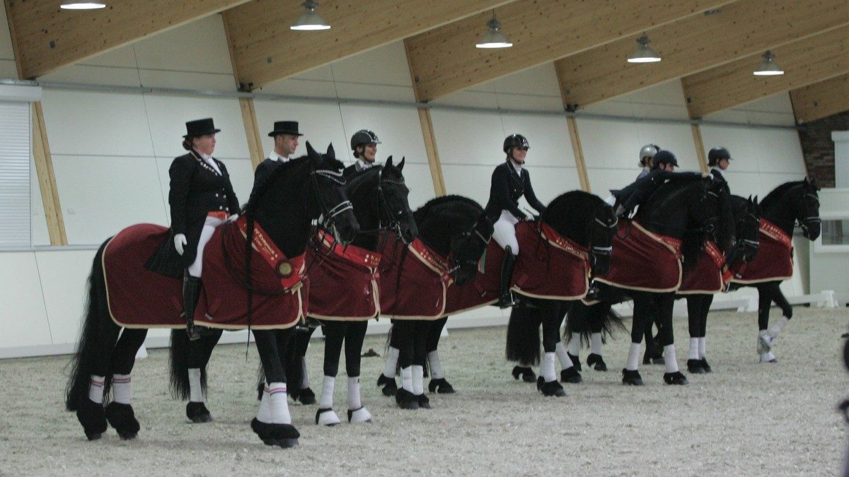 De winnaars van het Europees kampioenschap Friese dressuurpaarden op een rij.