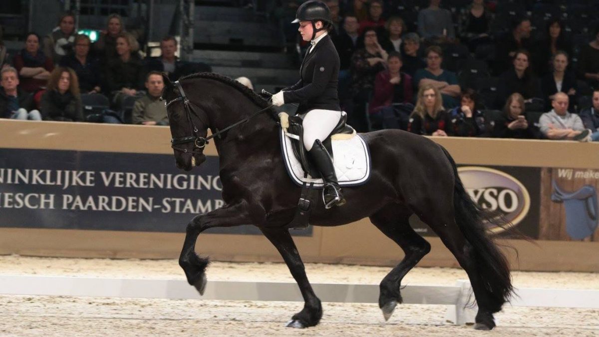 Iris Vinkx rijdt de merrie Thirsa Fan Jentsjes Pleats naar de zege.