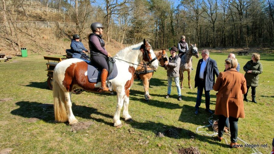 Hondsrug Trail ruitertourisme Drenthe