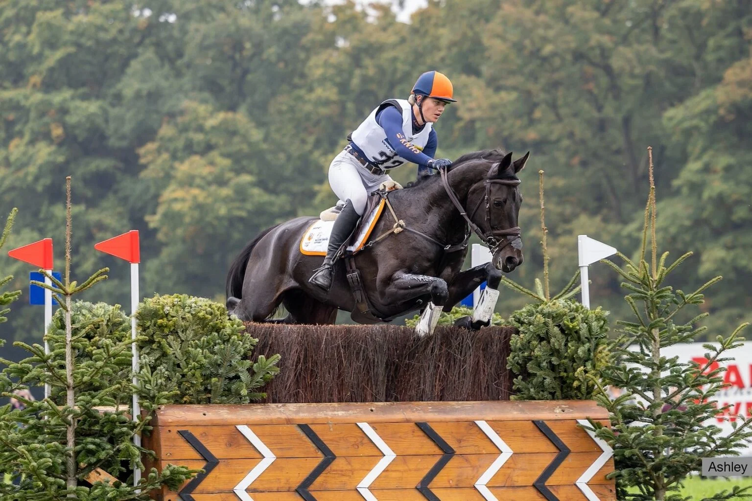 Military Boekelo