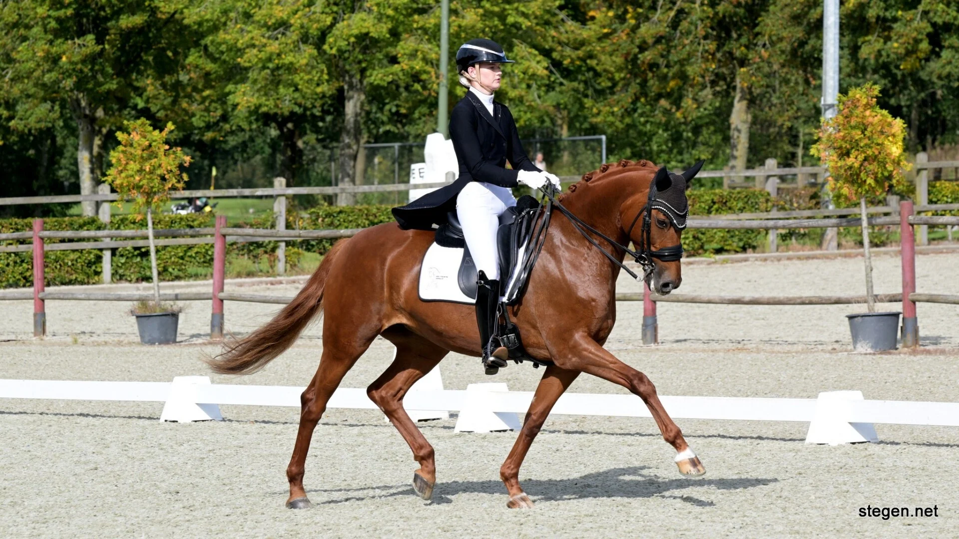 Ines Veldboer