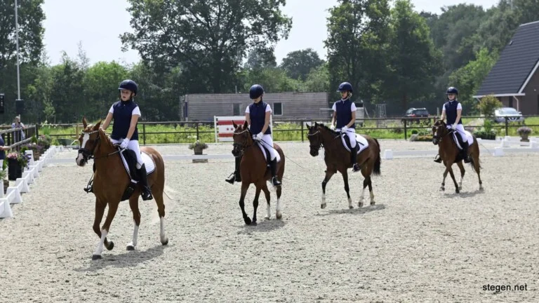 Drents kampioenschap