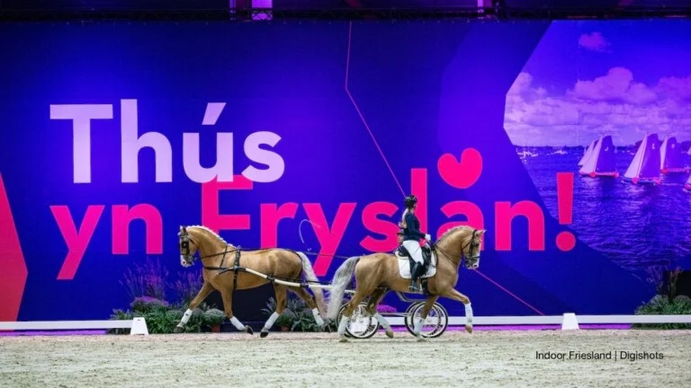 Indoor Friesland