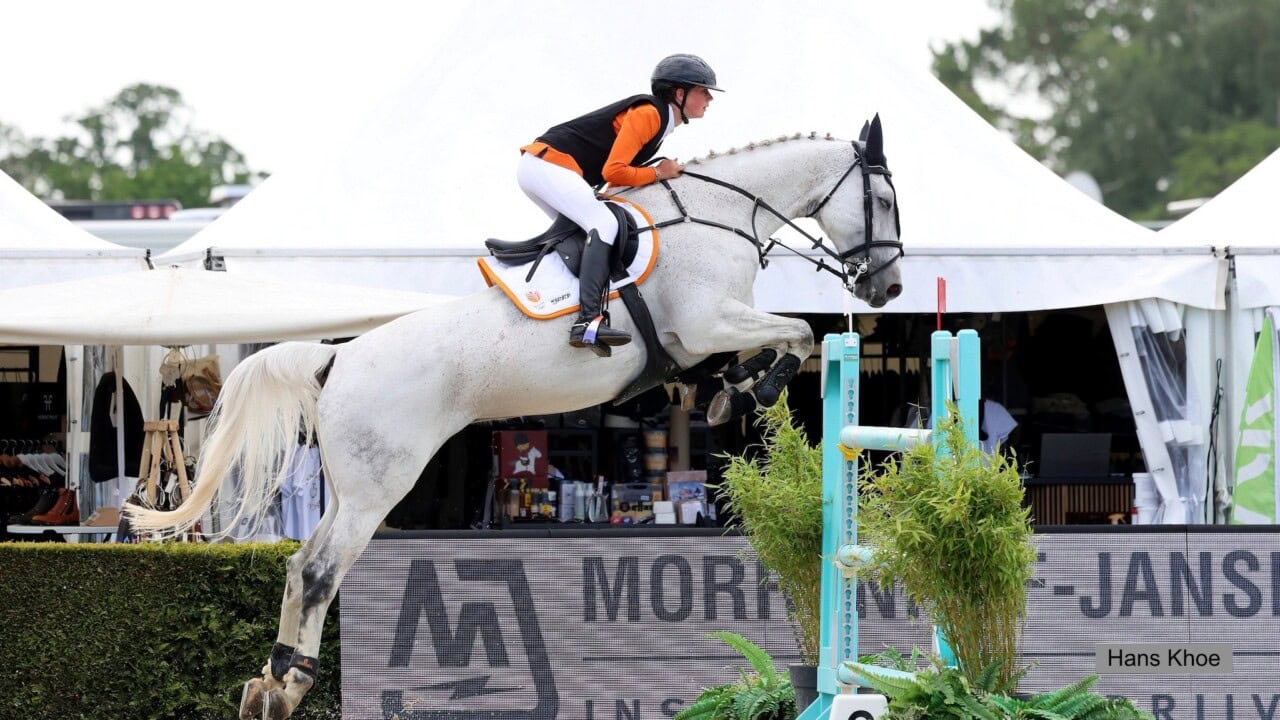 CSIO De Wolden