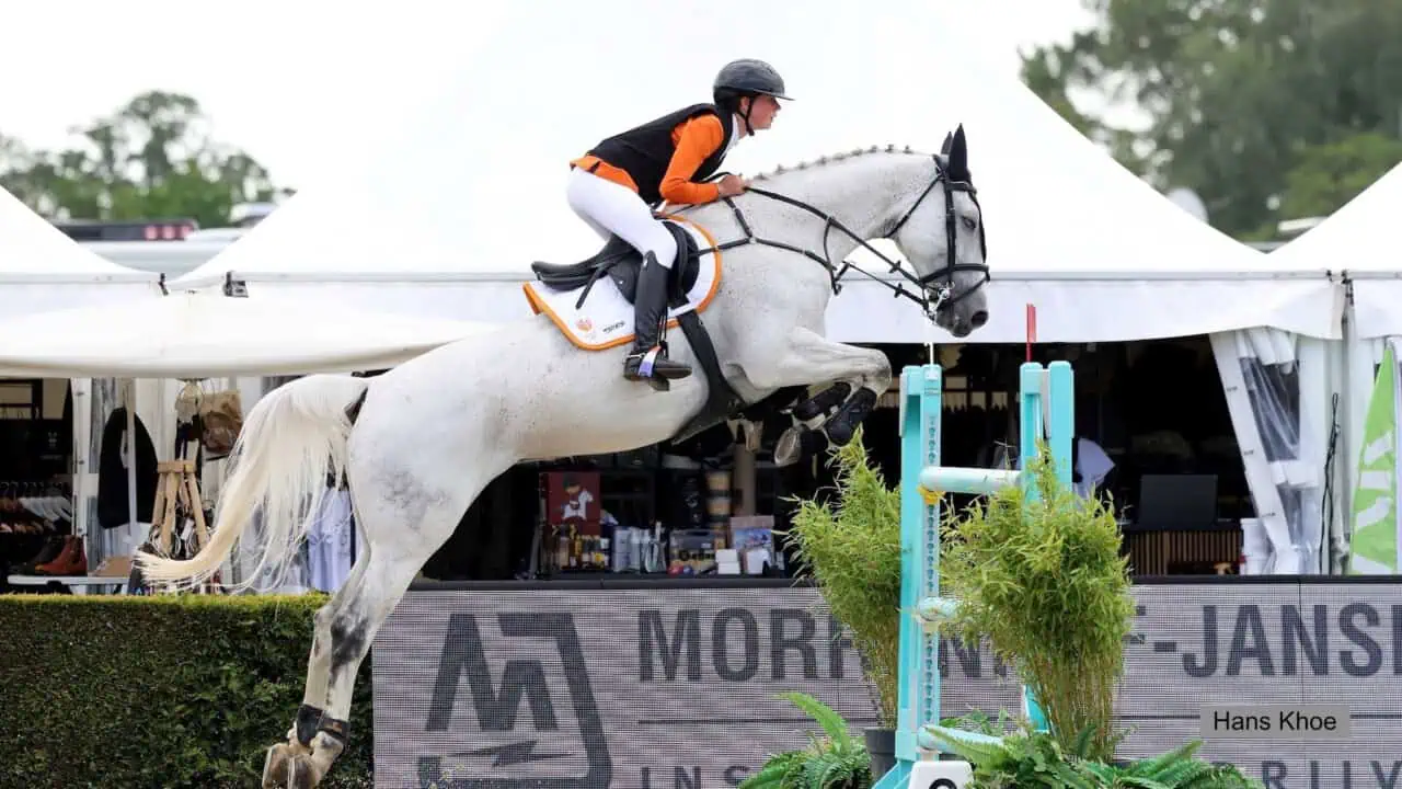 CSIO De Wolden