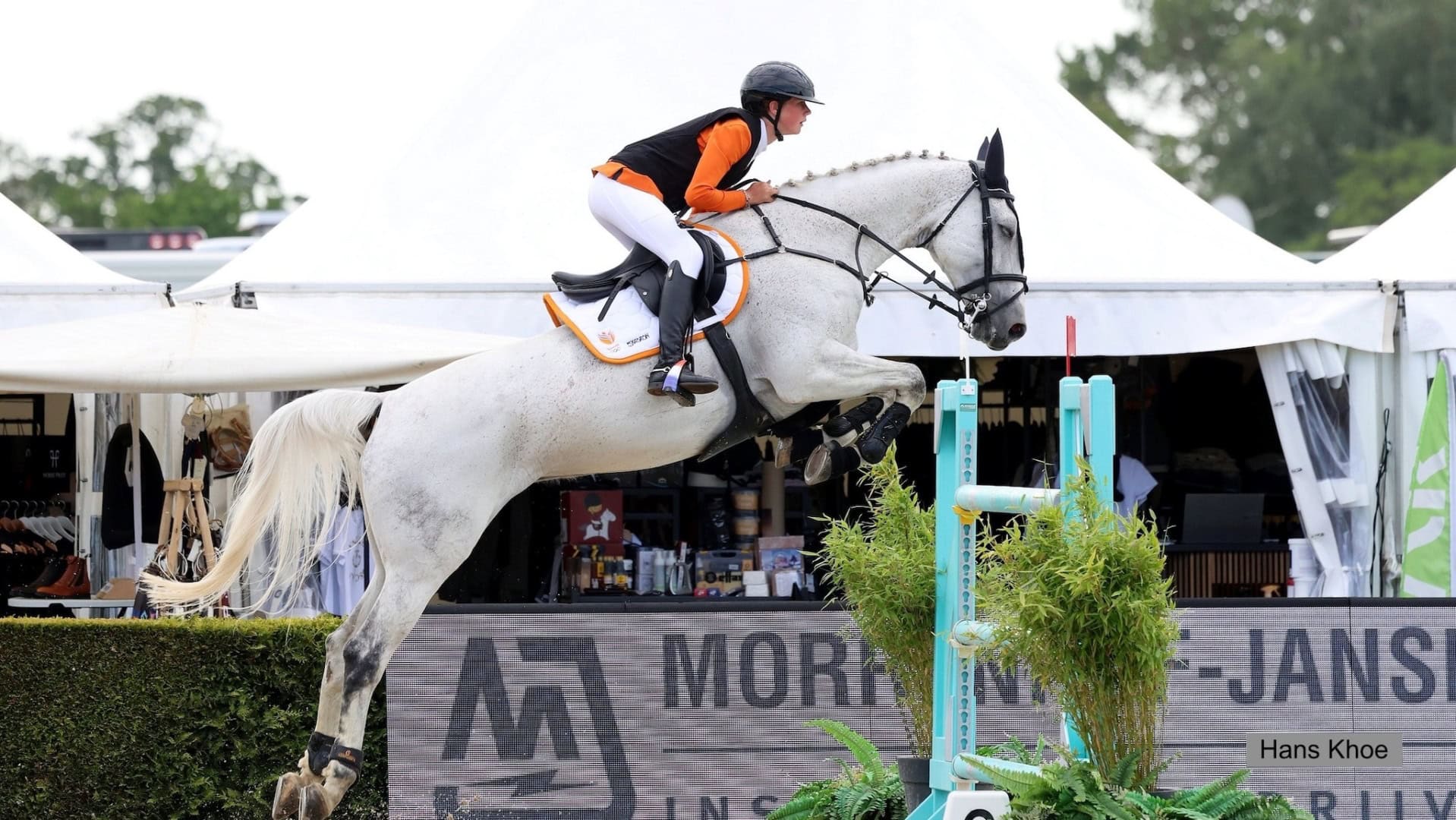 CSIO De Wolden