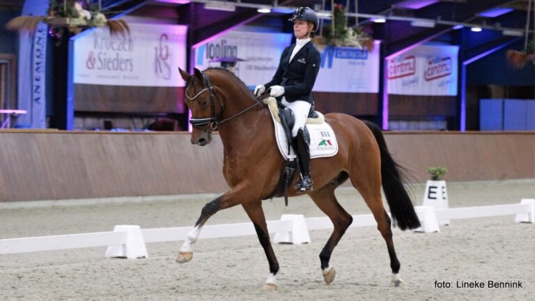 Adelinde Cornelissen - Luquido