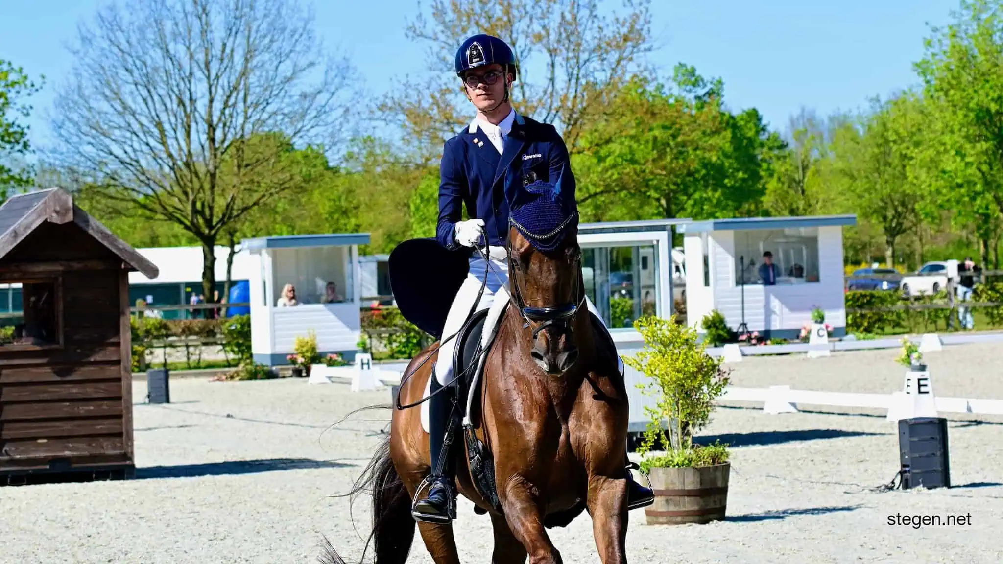 Marten Luiten