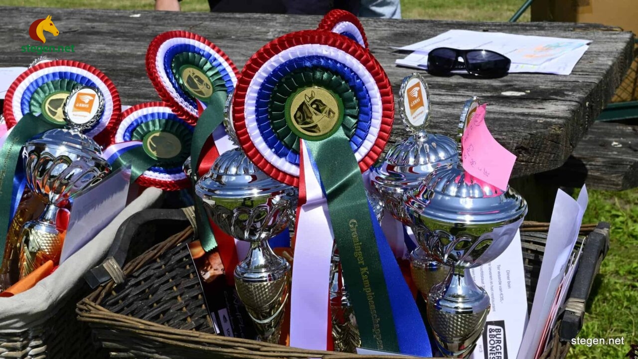Gronings kampioenschap