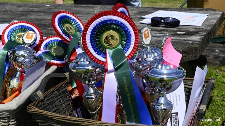 Gronings kampioenschap