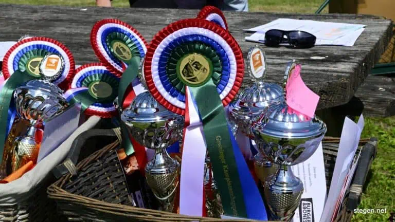Gronings kampioenschap