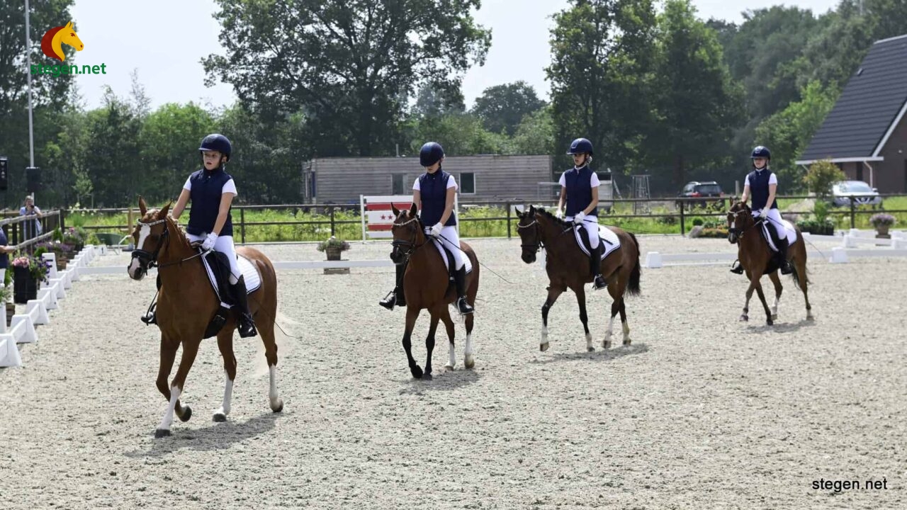 Drents kampioenschap dressuur