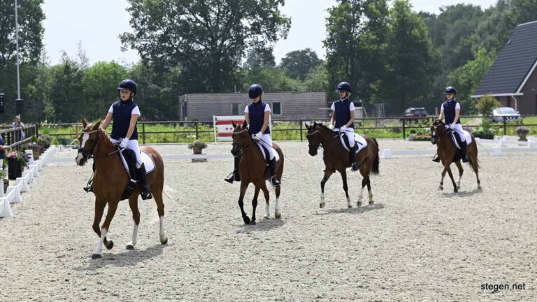 Drents kampioenschap dressuur