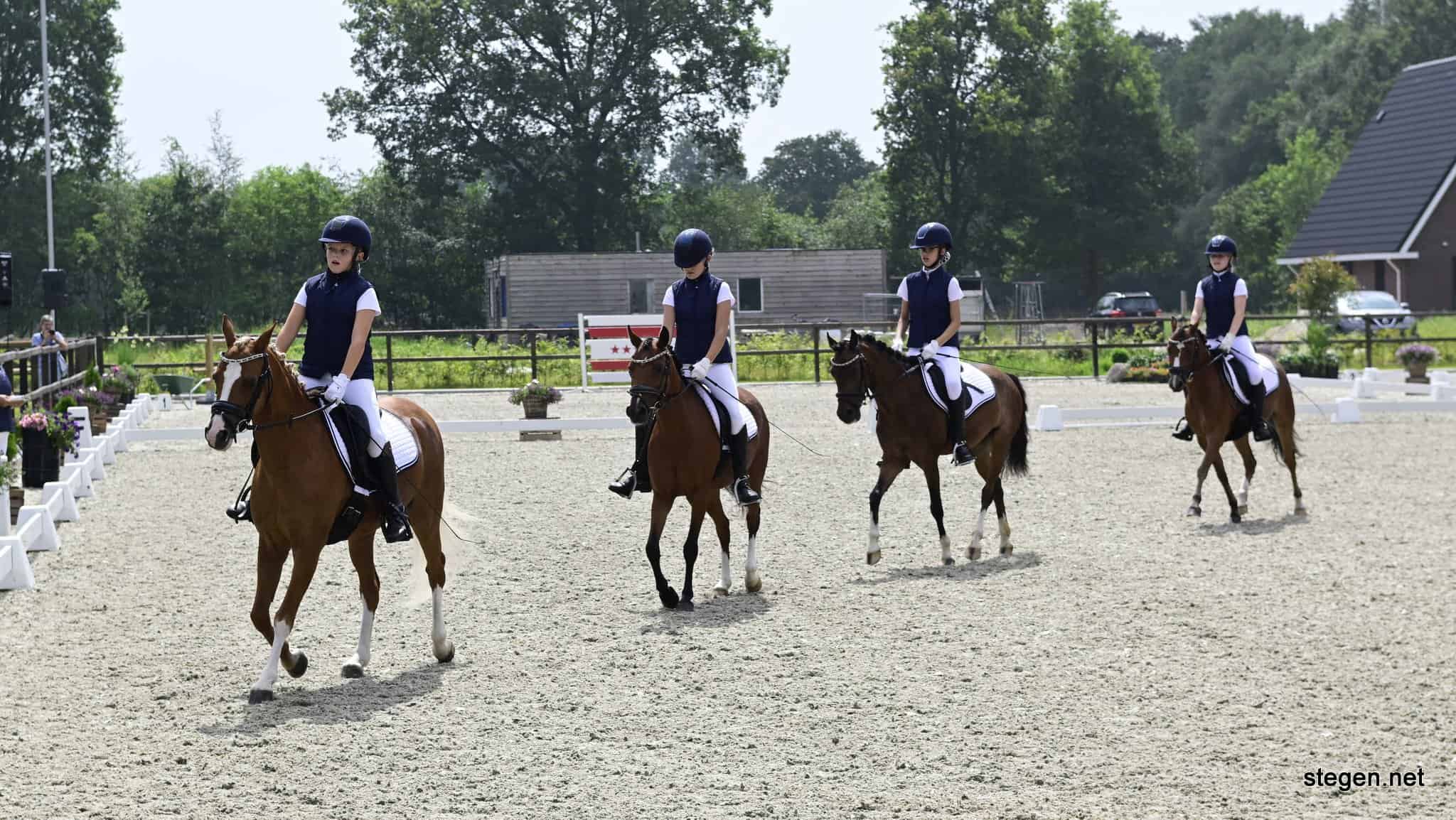 Drents kampioenschap dressuur