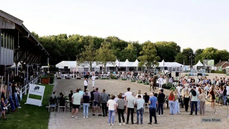 De Wolden Summer Sale