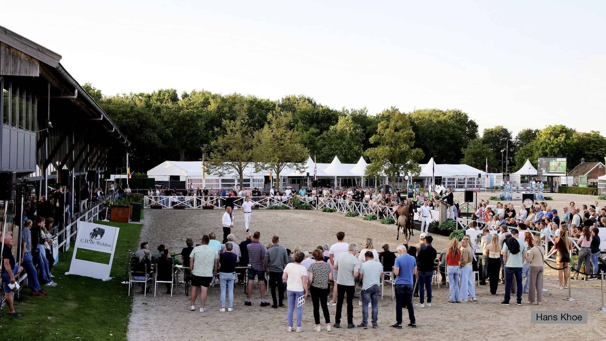De Wolden Summer Sale