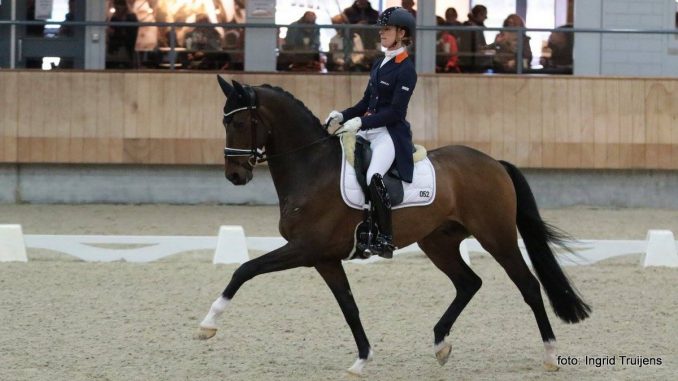 Adelinde Cornelissen reed Zephyr naar de tweede plaats in het KNHS-kampioenschap zware tour. foto: Ingrid Truijens