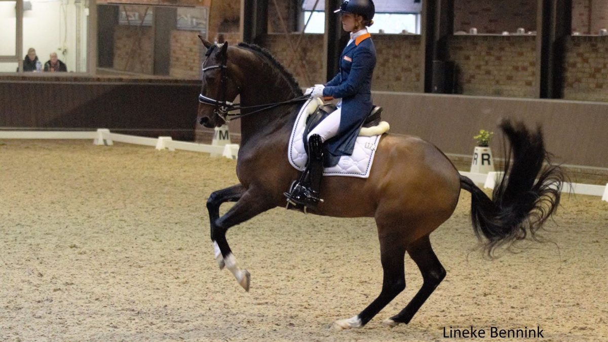 Adelinde Cornelissen won met Zephyr de Grand Prix in Assen.