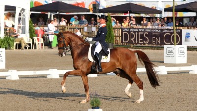 Adelinde Cornelissen maakte me Parzival een succesvolle comeback bij Outdoor Gelderland. ©Wendy Scholten