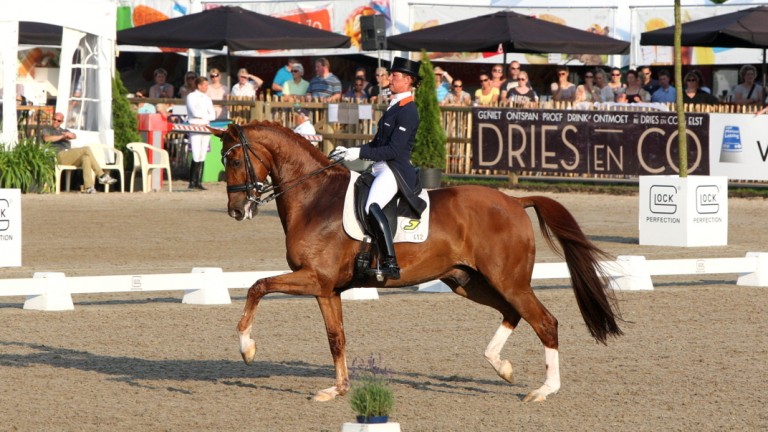 Adelinde Cornelissen maakte me Parzival een succesvolle comeback bij Outdoor Gelderland. ©Wendy Scholten