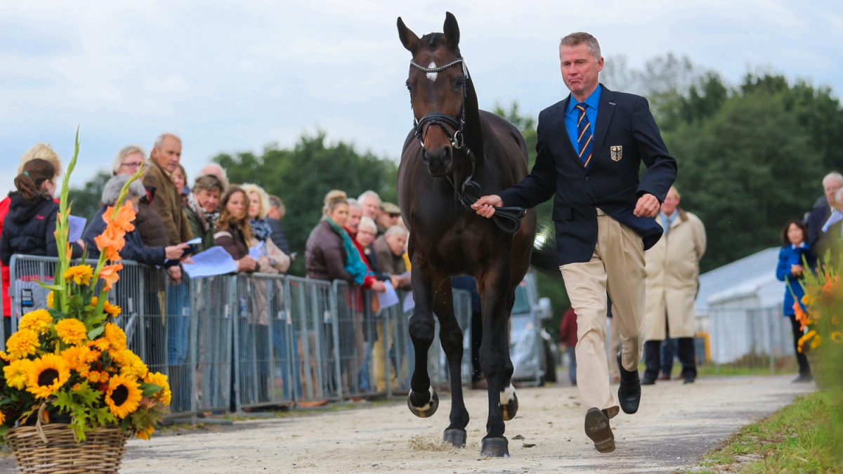 Military Boekelo. Andreas Dibowski tijdens de keuring met zijn paard FRH Corrida.