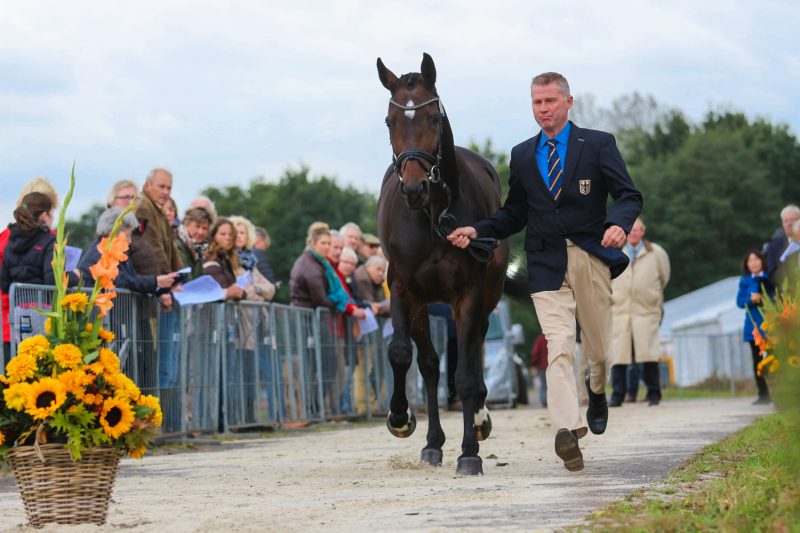 Military Boekelo. Andreas Dibowski tijdens de keuring met zijn paard FRH Corrida.