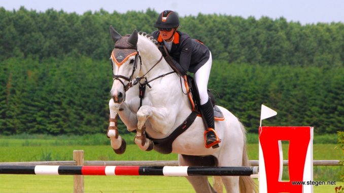 Anne-Liza Makkinga rijdt Chrystal Clear naar de eerste plaats in de ZZ-rubriek in Dalerveen.