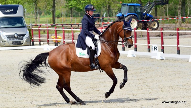 Annemieke Vincourt behaalde met Diede Dieni een dubbele overwinning in de lichte tour bij Topsport Dressuur Exloo.