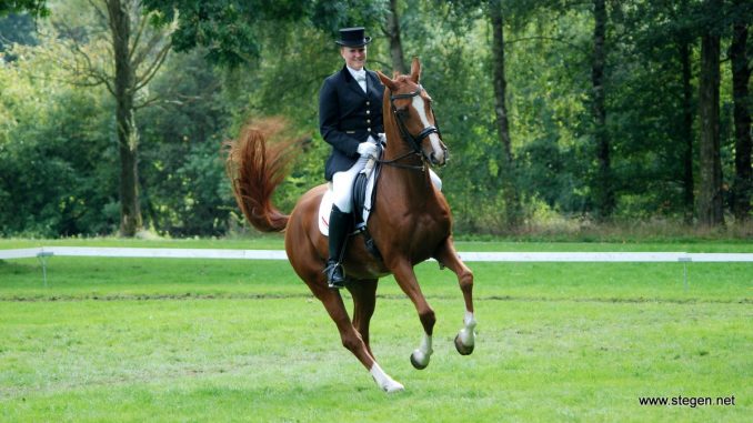 Annet Koning behaalde bij het CH Eext met Sebastiaan R prachtige resultaten in de lichte tour.