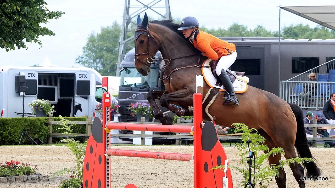 Emma Bocken CSIO Zuidwolde