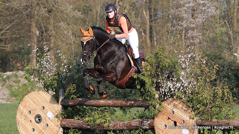 Britt Ballast eventing Harich