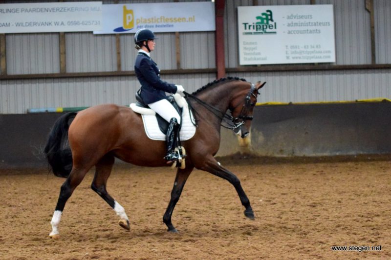 Callista Leeuwerke won met Santo's Fatal Love de ZZ-licht bij de dressuurcompetitie Vlagtwedde.
