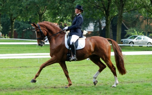 Callista Leeuwerke in actie met Zhivago (archief). ©Steven Stegen