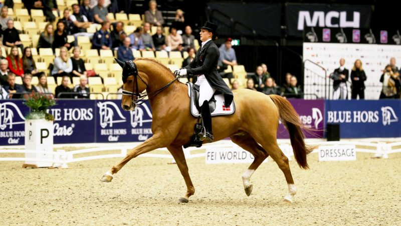 Catherine Dufour en Atterupgaards Cassidy tijdens hun winnende proef in Herning. foto: FEI | Everhorsephoto.com
