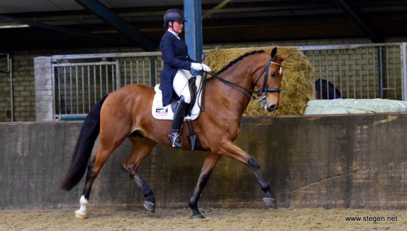 Subtop Vlagtwedde. Christa Larmoyeur maakte een mooi debuut met Superhorse Banditos, goed voor een tweede plaats.