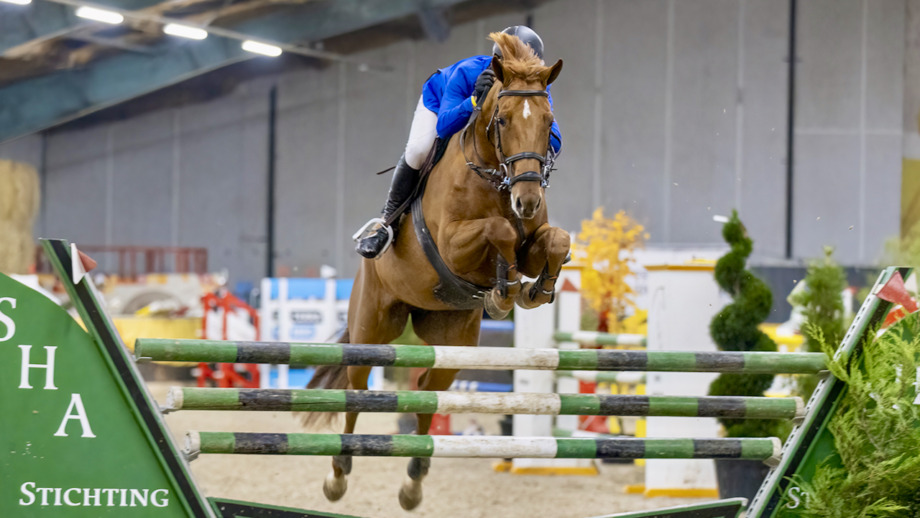 Hippos Concours Appingedam