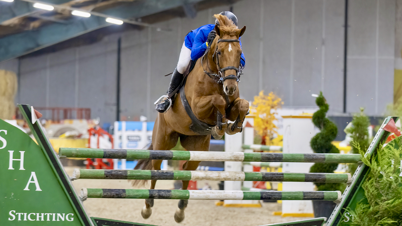 Hippos Concours Appingedam