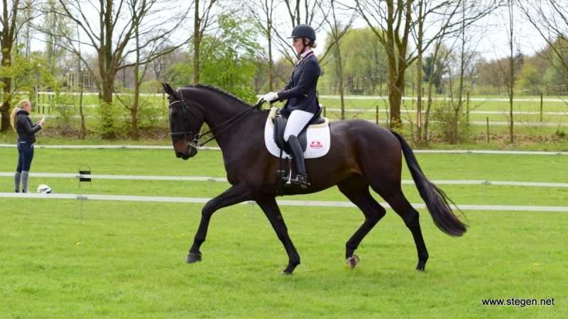 Koningsdagconcours Onstwedde. Cindy Stooker tijdens haar proef in de ZZ-licht met Fly Away.