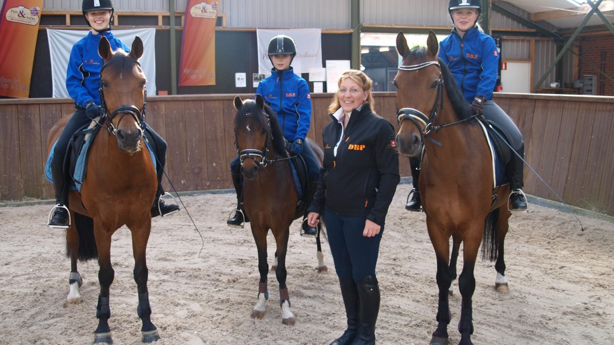 Dressuur begeleidings plan Grolloo