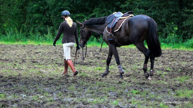 Drents kampioenschap. Van het inspringterrein in De Wijk bleef maar weinig heel. foto: Steven Stegen