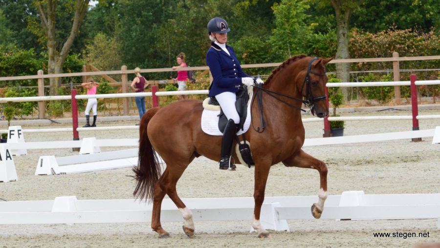 Jacqueline Windt en Frodo tijdens hun kür bij het Drents kampioenschap.