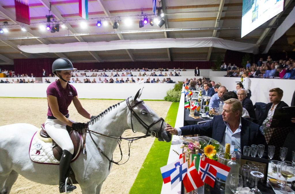 Dutch Sport Horse Sales