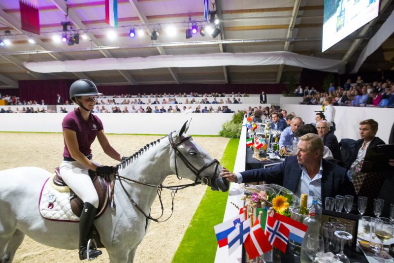 Dutch Sport Horse Sales