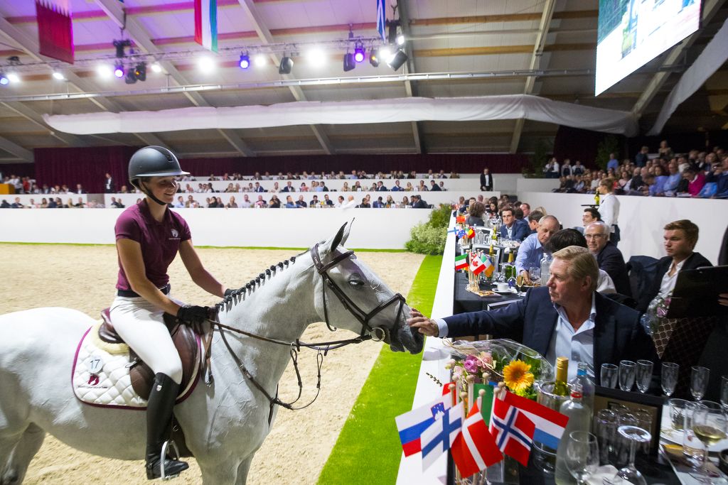 Dutch Sport Horse Sales