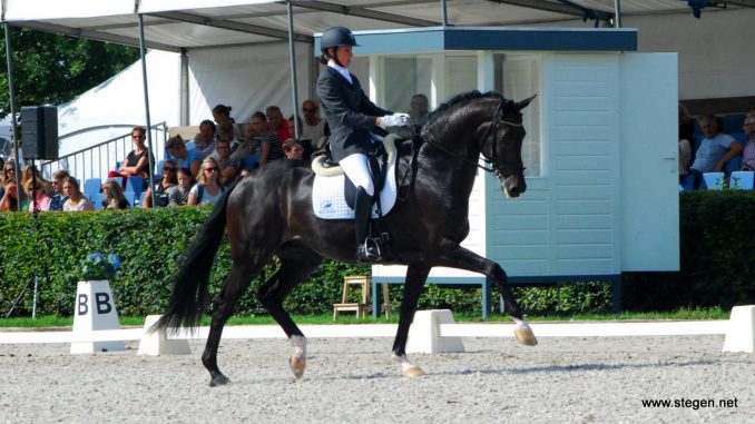 Deborah Dollee werd met Alibi kampioen in de ZZ-licht tijdens de Hippiade. foto: Steven Stegen