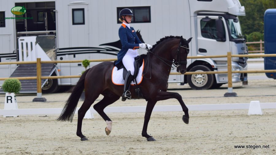 Denise Nekeman zette met de hengst Boston STH het beste Nederlandse resultaat neer in de landenwedstrijd.