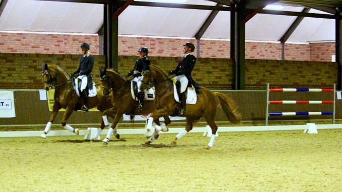 Drents Dressuur Gala. Trea Mulder, Frans van den Heuvel en Nicky Snijder vormden met hun paarden de 'chestnut mare club'.