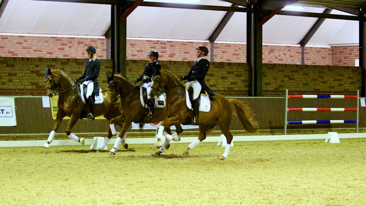 Drents Dressuur Gala. Trea Mulder, Frans van den Heuvel en Nicky Snijder vormden met hun paarden de 'chestnut mare club'.