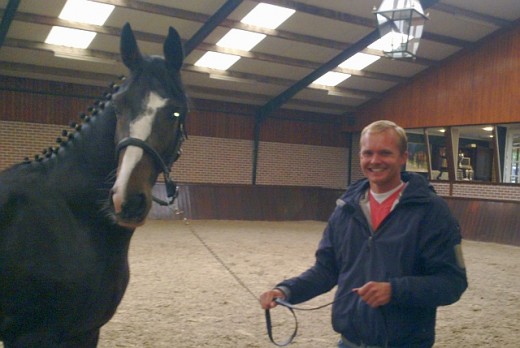 Egano-tuigpaard